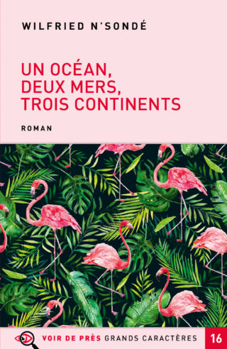 Couverture du livre en grands caractères Un océan, deux mers, trois continents de Wilfried N'Sondé