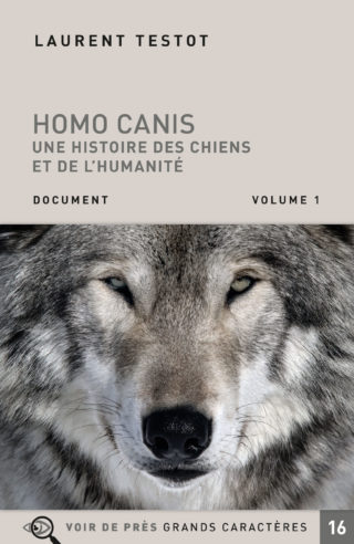 Couverture du livre en grands caractères Homo canis - Une histoire des chiens et de l'humanité de Laurent Testot