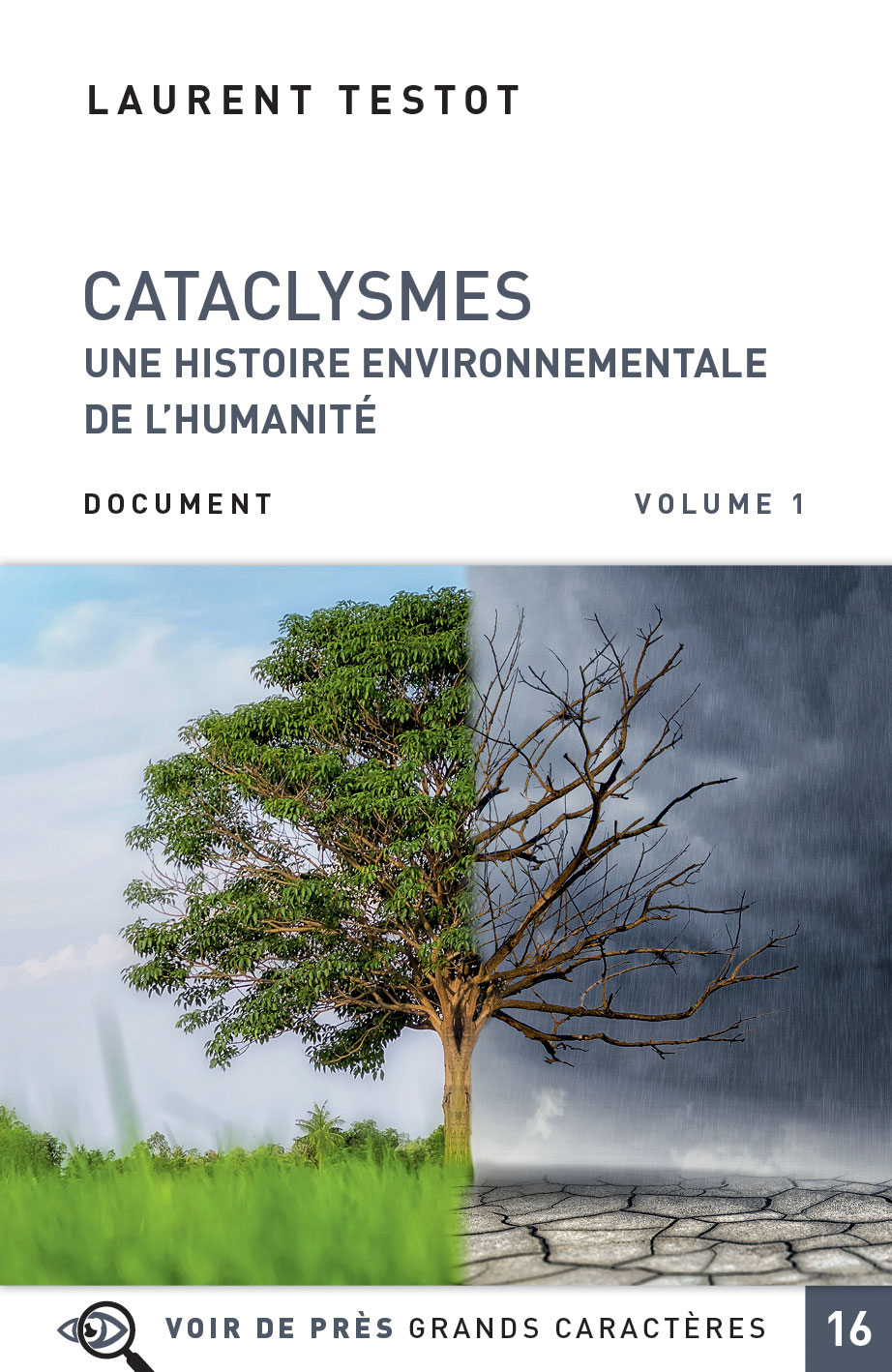 Couverture du livre en grands caractères Cataclysmes - Une histoire environnementale de l'humanité de Laurent Testot