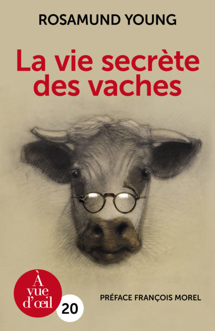Couverture du livre en grands caractères La vie secrète des vaches de Rosamund Young