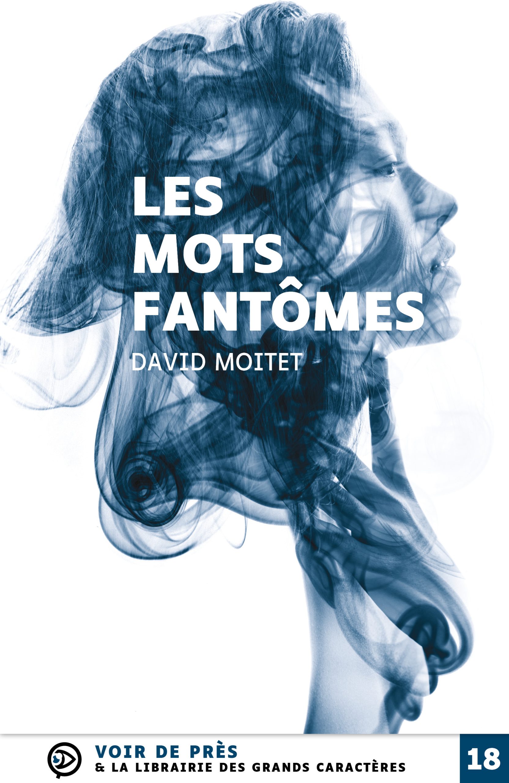 Couverture du livre en grands caractères Les mots fantômes de David Moitet