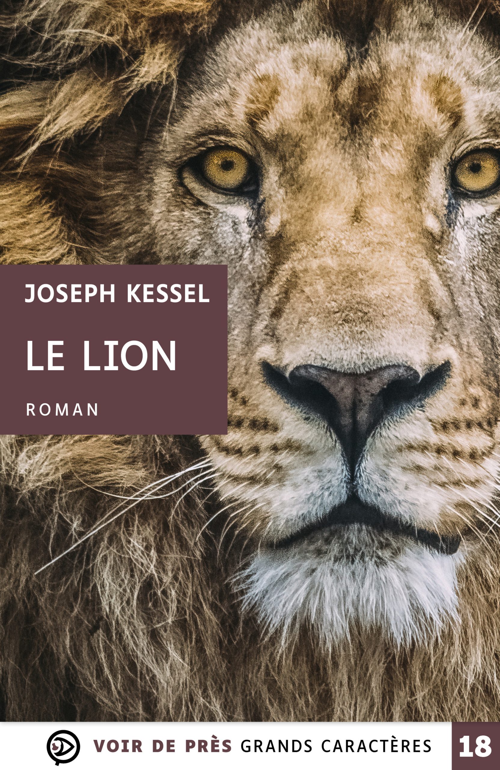 Couverture du livre en grands caractères Le Lion de Joseph Kessel
