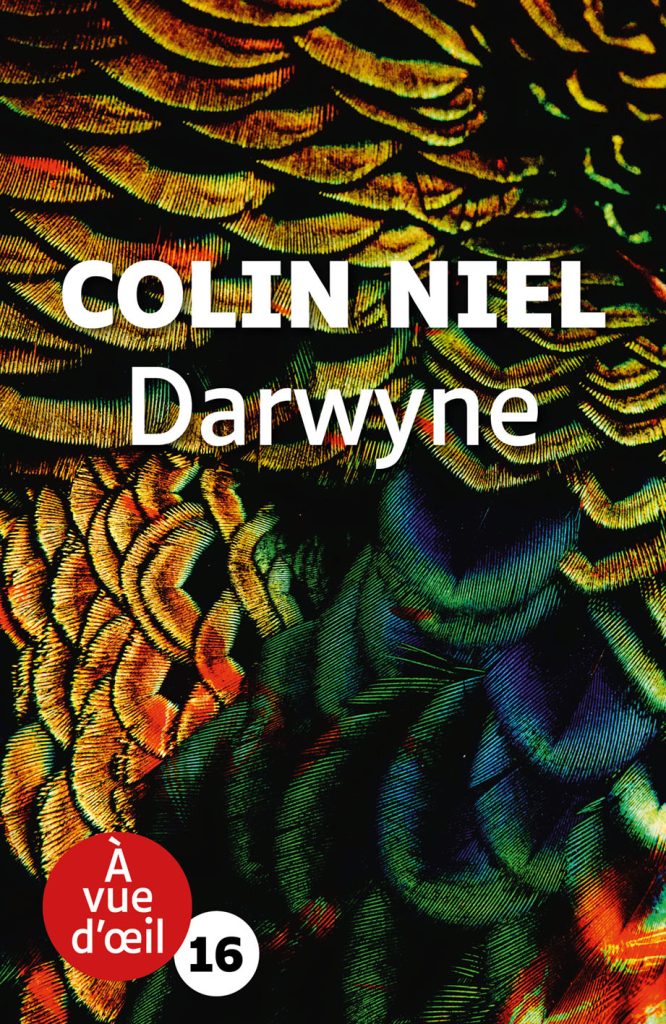Couverture du livre en grands caractères Darwyne de Colin Niel