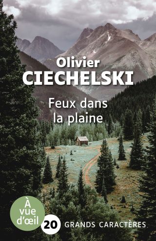 Couverture du livre en grands caractères Feux dans la plaine d'Olivier Ciechelski