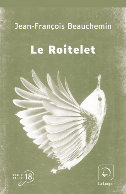 Couverture du livre en grands caractères - gros caractères - Le Roitelet de Jean-François Beauchemin