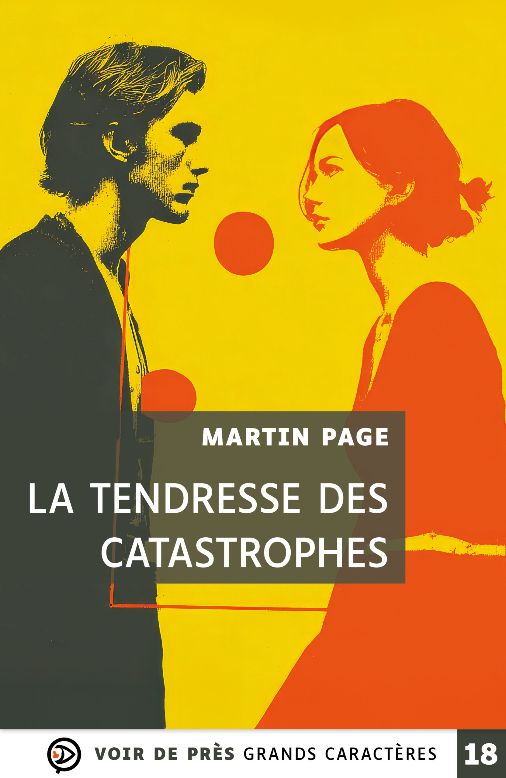 Couverture du livre en grands caractères « La tendresse des catastrophes » de Martin Page, publié par Voir de près, en taille 18