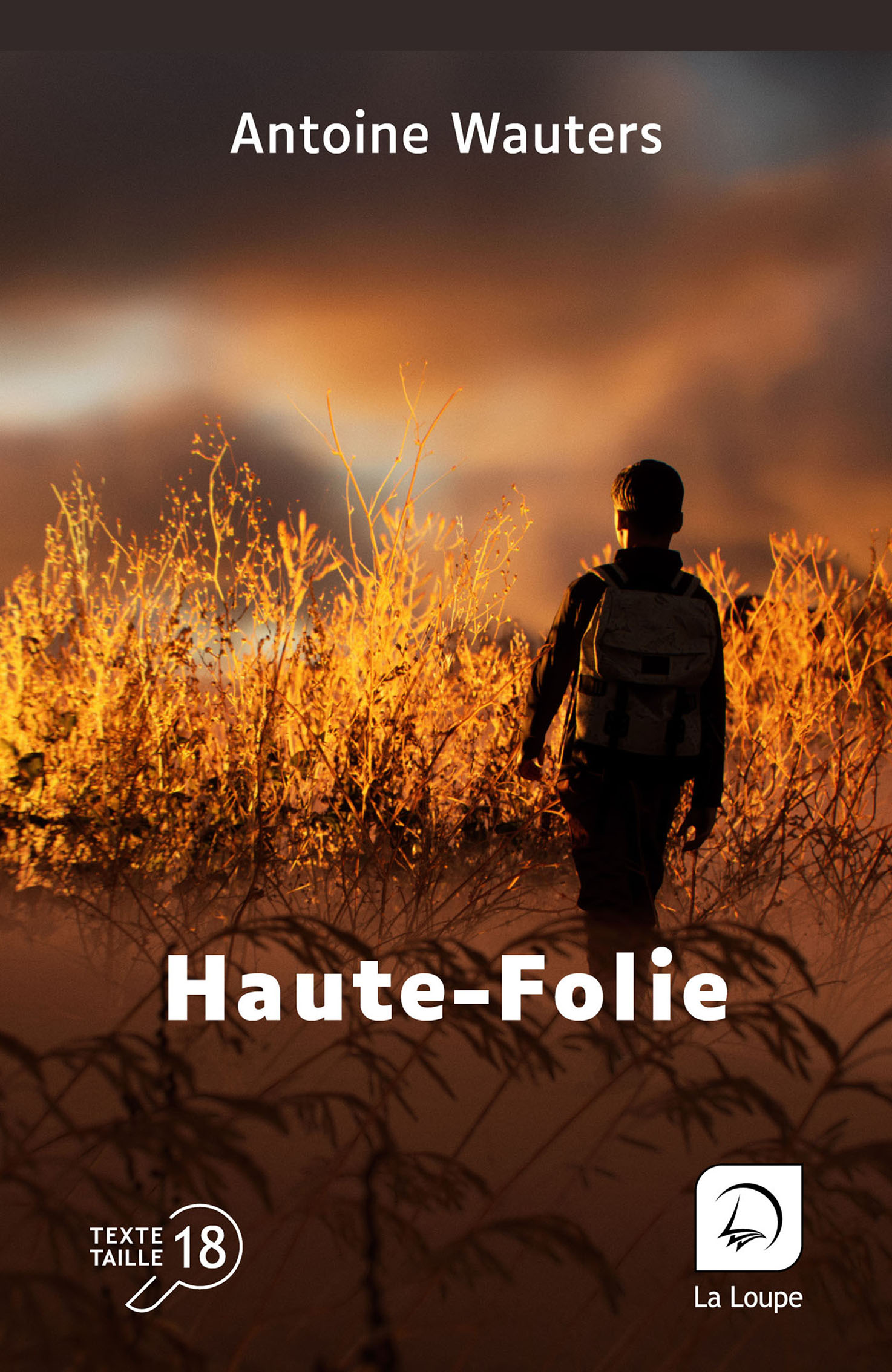 Couverture du livre Haute-Folie d’Antoine Wauters, en grands caractères (texte taille 18).