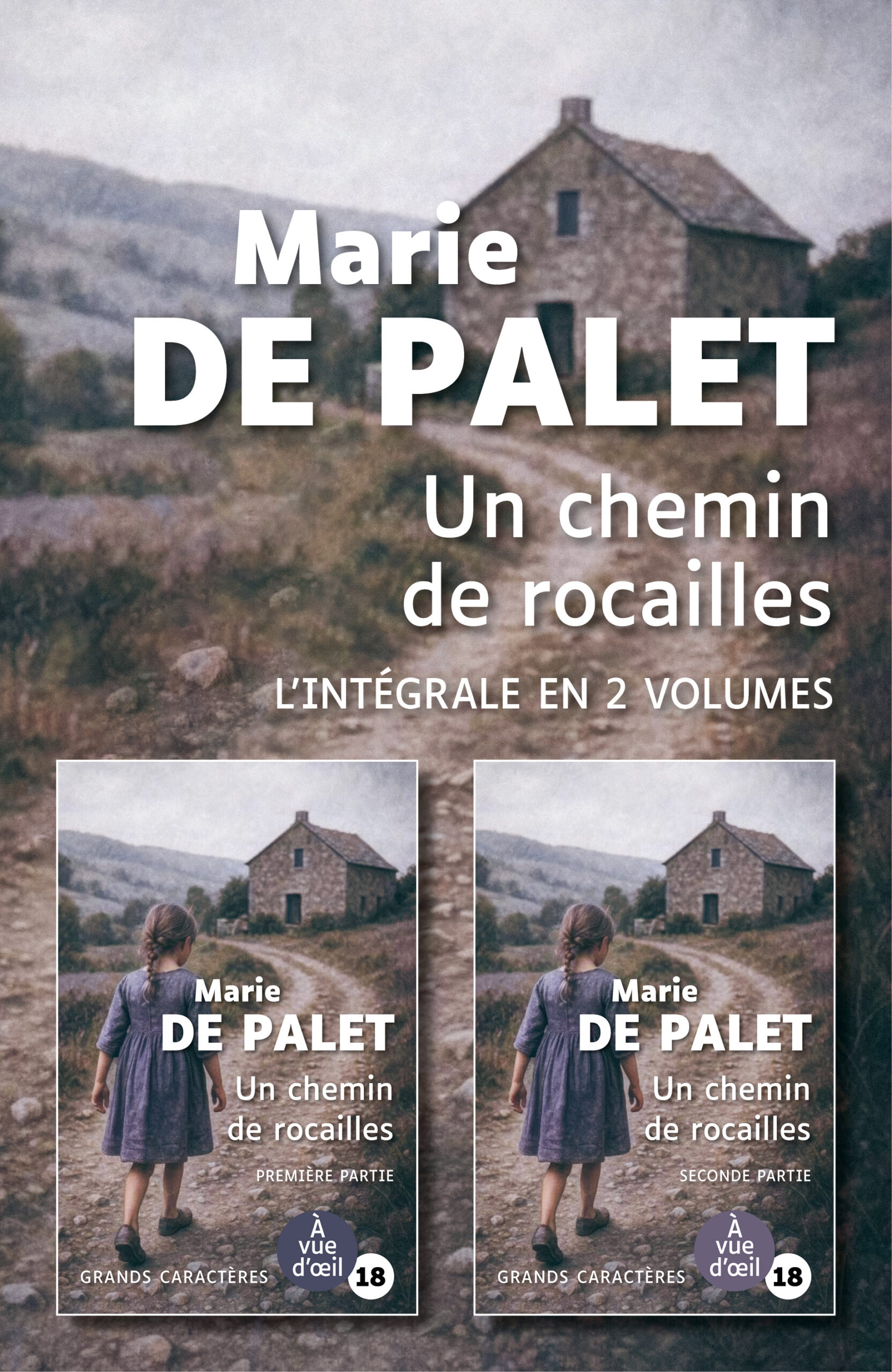 Couverture du livre Un chemin de rocailles de Marie de Palet, en grands caractères, intégrale en deux volumes.