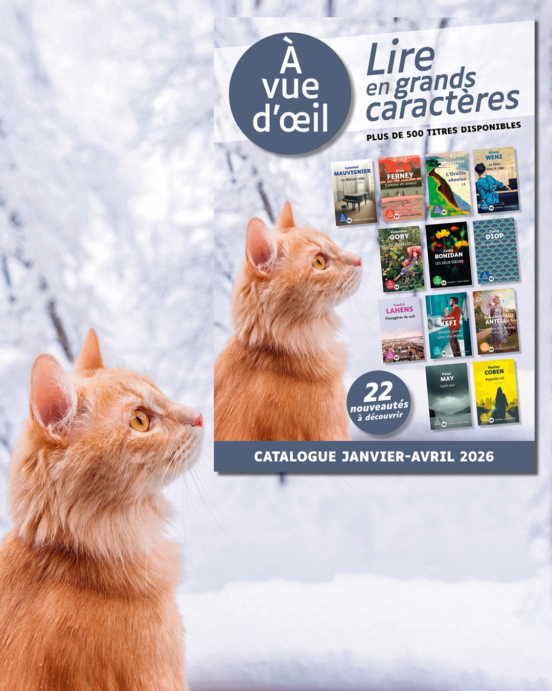 Couverture du catalogue À vue d’œil janvier-avril 2026, présentant une sélection de livres en grands caractères et annonçant plus de 500 titres disponibles, avec 22 nouveautés à découvrir.