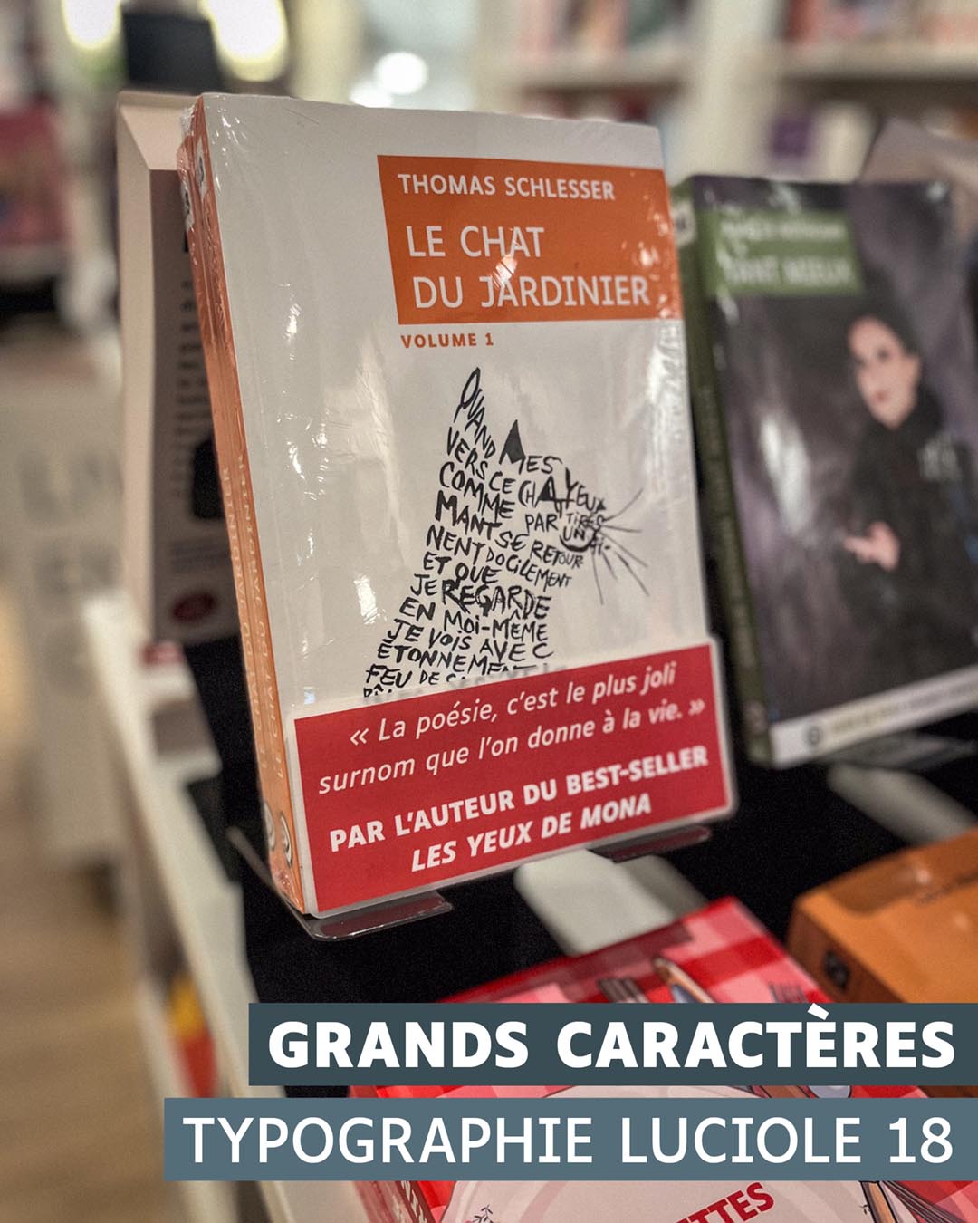 Photographie du livre en grands caractères Le Chat du jardinier – Volume 1 de Thomas Schlesser, présenté en librairie sur un présentoir. La couverture blanche et orange affiche le titre en haut, un dessin de chat formé par un texte manuscrit au centre, et un bandeau rouge mentionnant « Par l’auteur du best-seller Les Yeux de Mona ». En bas de l’image figure l’indication « Grands caractères – Typographie Luciole 18 ».