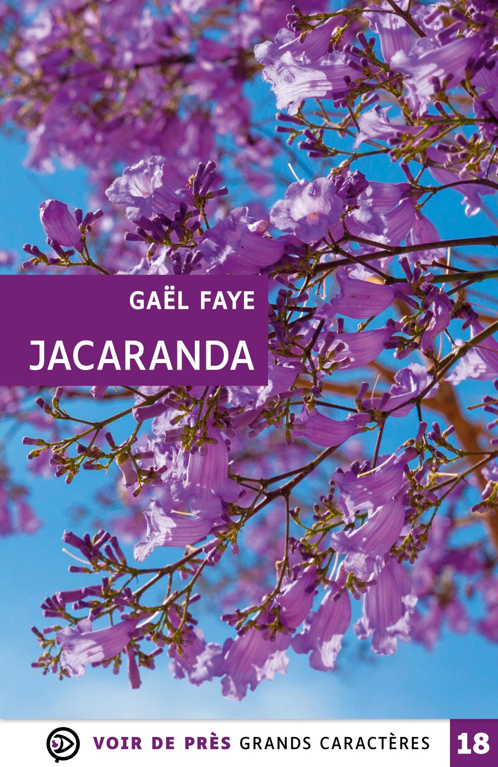 Couverture du livre en grands caractères intitulé Jacaranda de Gaël Faye, publié par Les éditions Voir de près. La couverture présente une photographie de branches de jacaranda en fleurs, avec de nombreuses fleurs violettes sur fond de ciel bleu lumineux. L’image est vive et colorée, dominée par des teintes de violet et de bleu. Le nom de l’auteur et le titre apparaissent en blanc dans un encadré violet au centre. En bas de la couverture figure la mention « Grands caractères » avec un corps 18.