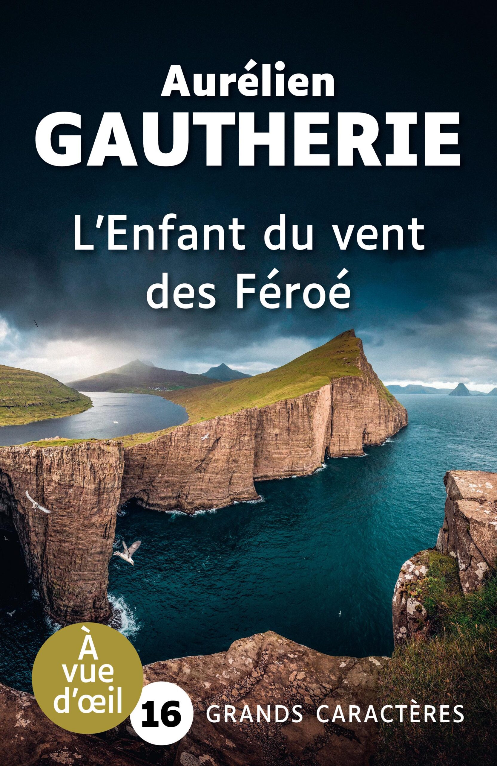Couverture du livre en grands caractères intitulé L’Enfant du vent des Féroé de Aurélien Gaucherie, publié par Les éditions À Vue d’œil. La couverture présente un paysage spectaculaire de falaises abruptes plongeant dans la mer, avec une eau d’un bleu profond et un ciel nuageux sombre. Des oiseaux marins survolent les falaises, renforçant l’impression de vent et de nature sauvage. Le nom de l’auteur apparaît en haut en grandes lettres blanches, et le titre au centre. En bas de la couverture figure la mention « Grands caractères » avec un corps 16.