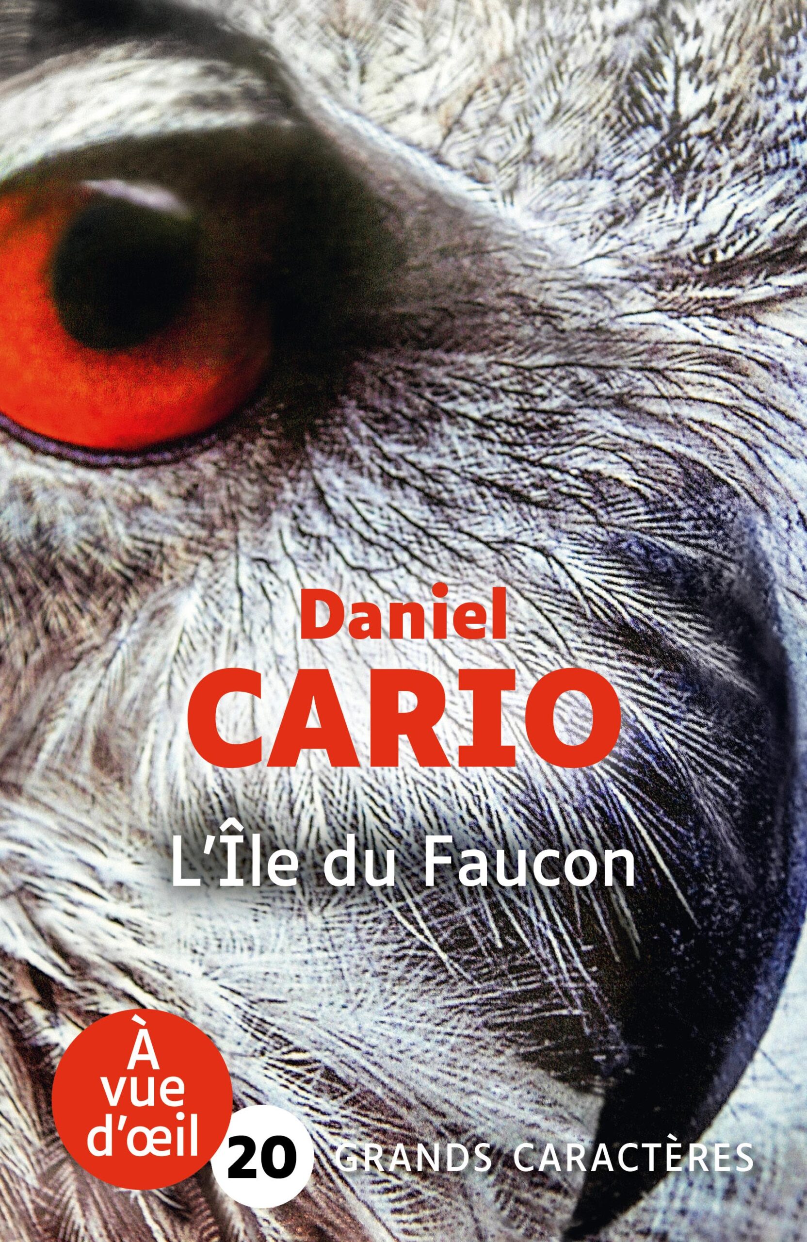 Couverture du livre en grands caractères intitulé L’Île du Faucon de Daniel Cario, publié par Les éditions À Vue d’œil. La couverture présente un gros plan d’un oiseau de proie, probablement un faucon, mettant en avant son œil rouge intense et son plumage détaillé en noir, blanc et gris. L’image est très rapprochée, créant un effet saisissant et immersif. Le nom de l’auteur apparaît en lettres rouges au centre, et le titre en blanc en dessous. En bas de la couverture figure la mention « Grands caractères » avec un corps 20.