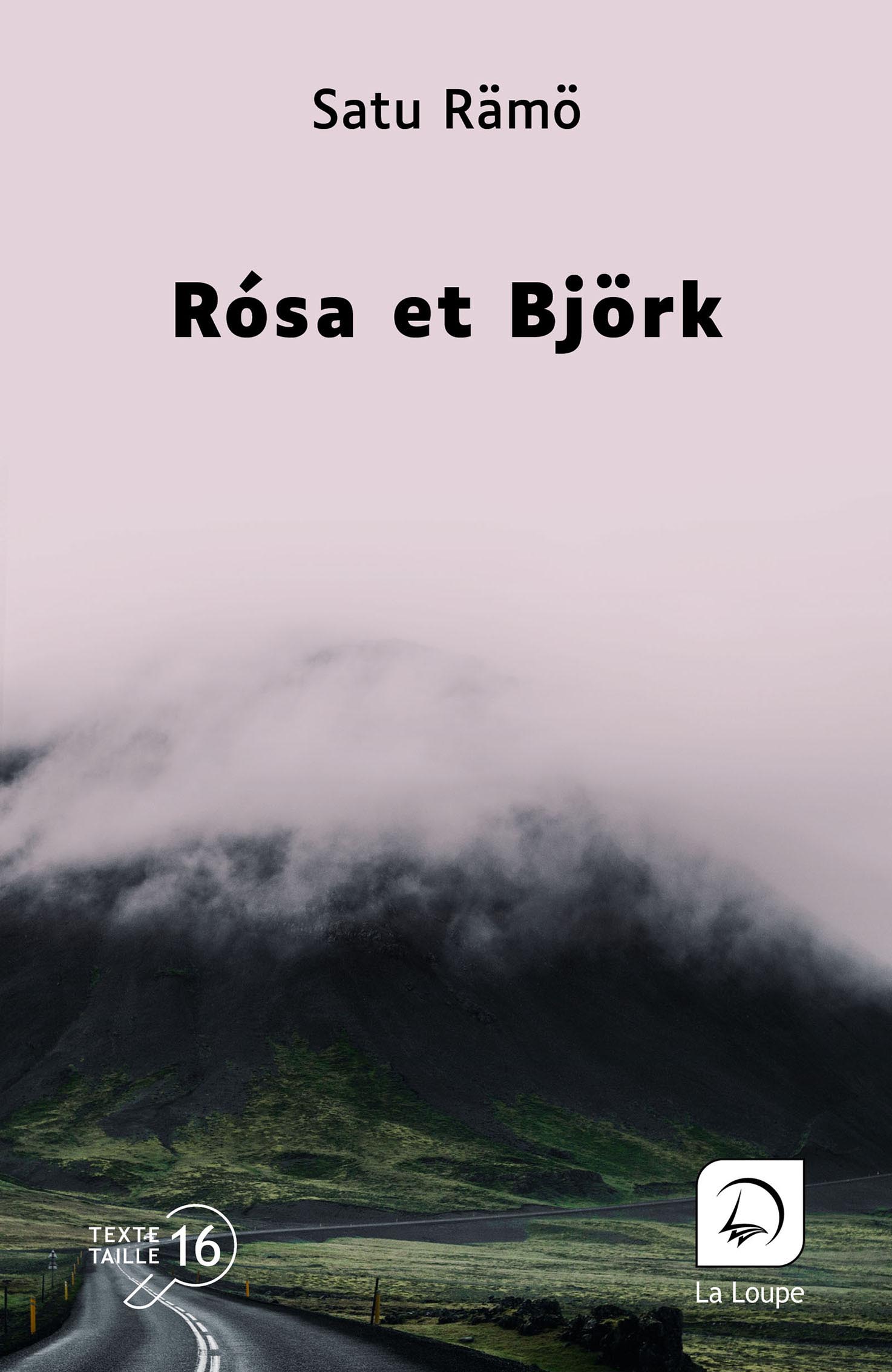 Texte alternatif Couverture du livre « Rósa et Björk » de Satu Rämö, édition en grands caractères.